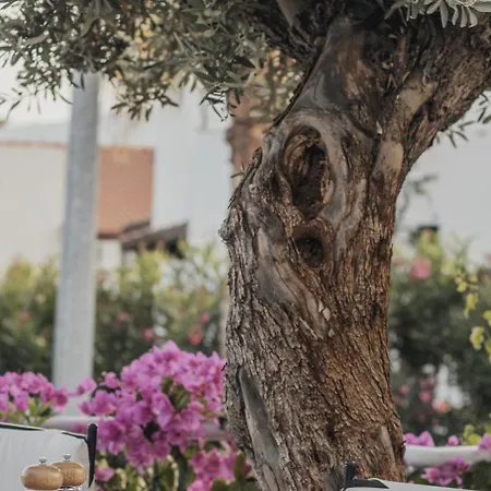 The Bay View Boutique Kalkan 卡斯